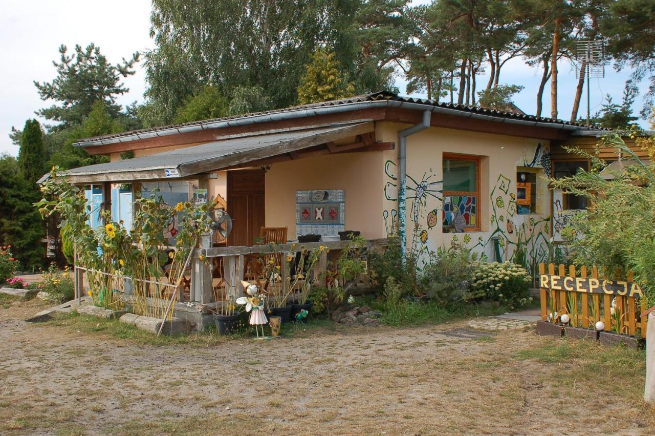 Camping Rogowo Mrzeżyno Kültér fotó