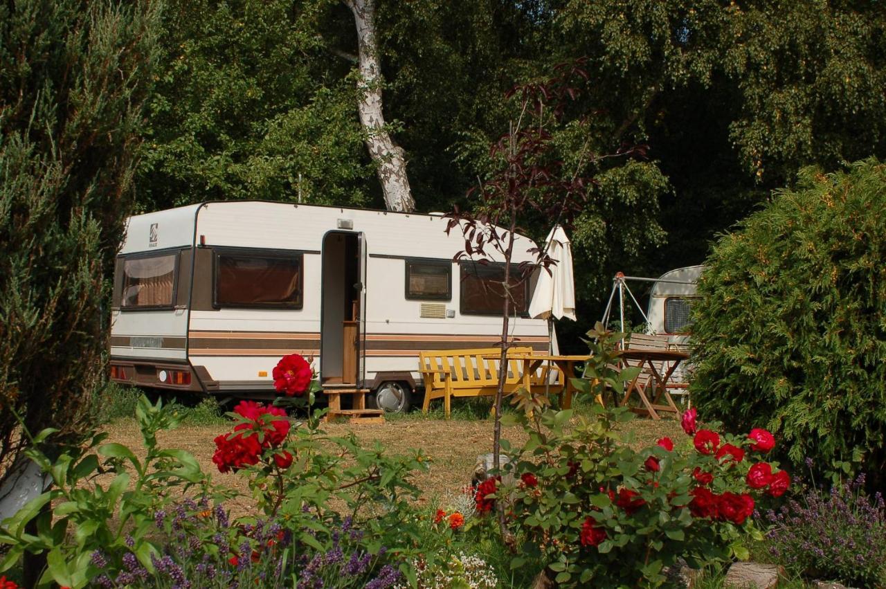 Camping Rogowo Mrzeżyno Kültér fotó