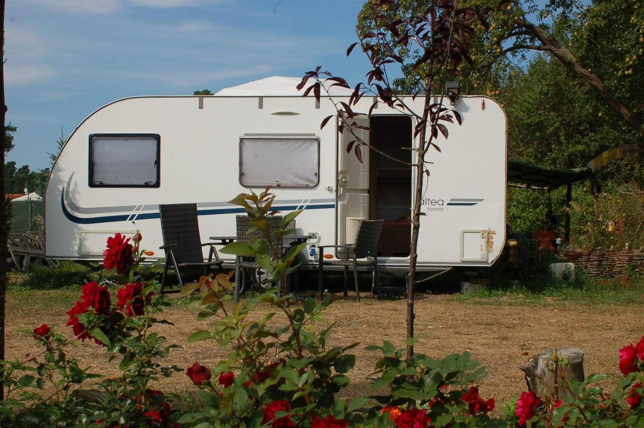 Camping Rogowo Mrzeżyno Kültér fotó