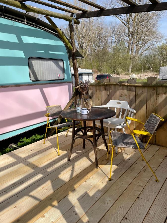 Camping Rogowo Mrzeżyno Kültér fotó