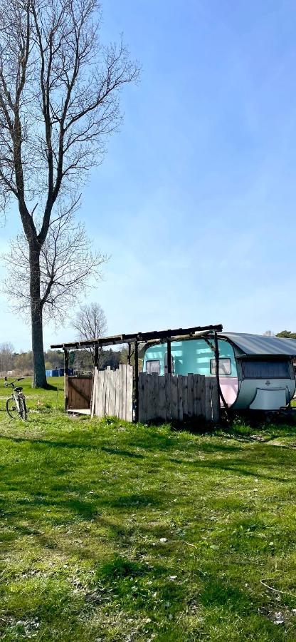 Camping Rogowo Mrzeżyno Kültér fotó