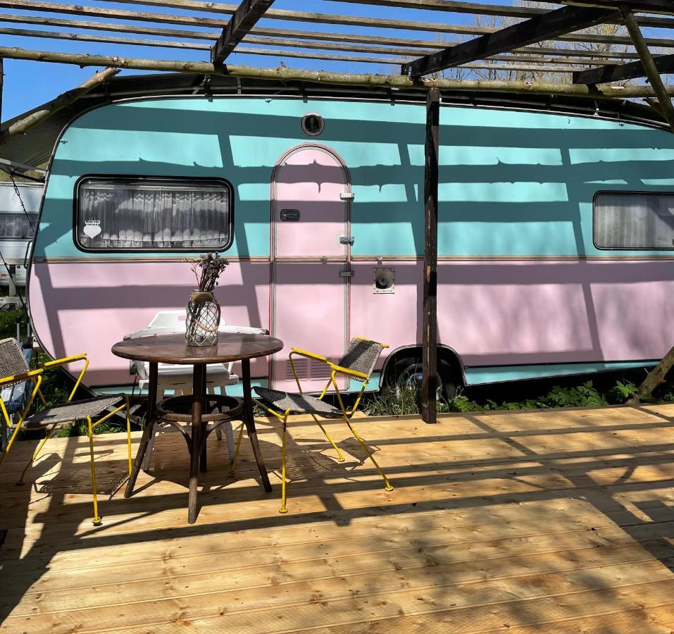 Camping Rogowo Mrzeżyno Kültér fotó