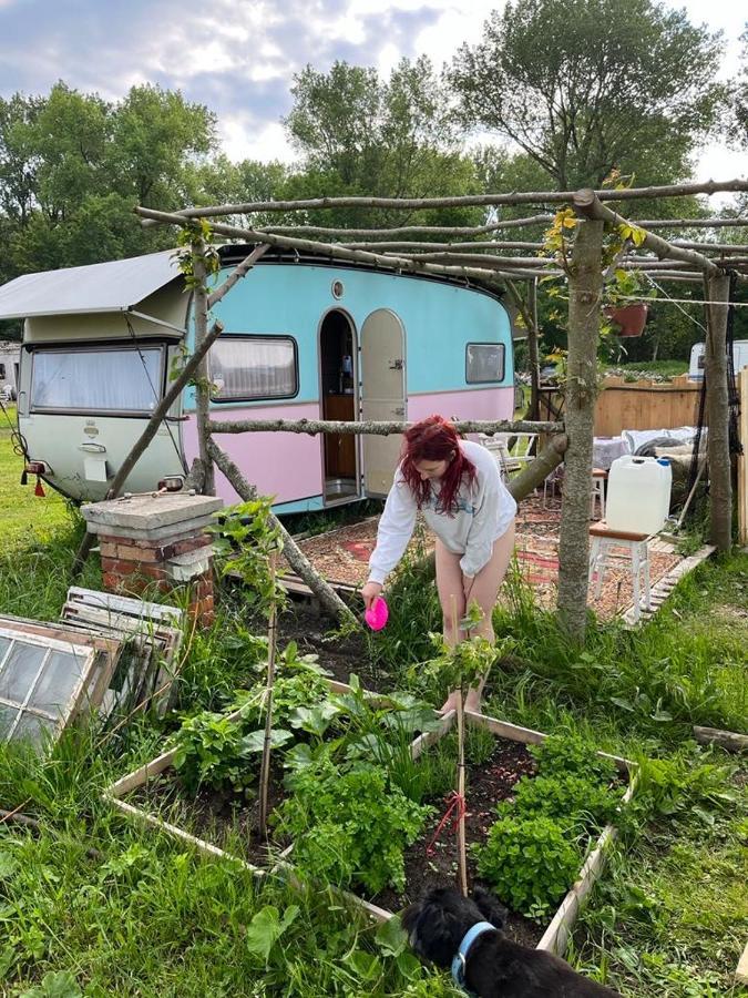 Camping Rogowo Mrzeżyno Kültér fotó
