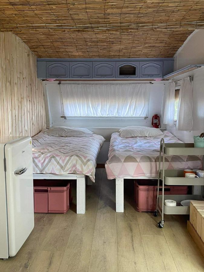 Camping Rogowo Mrzeżyno Kültér fotó
