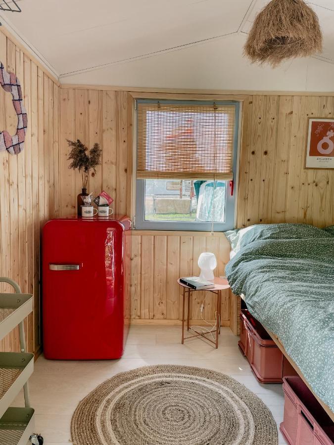 Camping Rogowo Mrzeżyno Kültér fotó