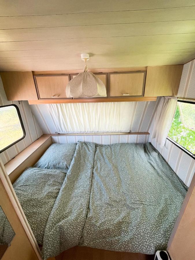 Camping Rogowo Mrzeżyno Kültér fotó