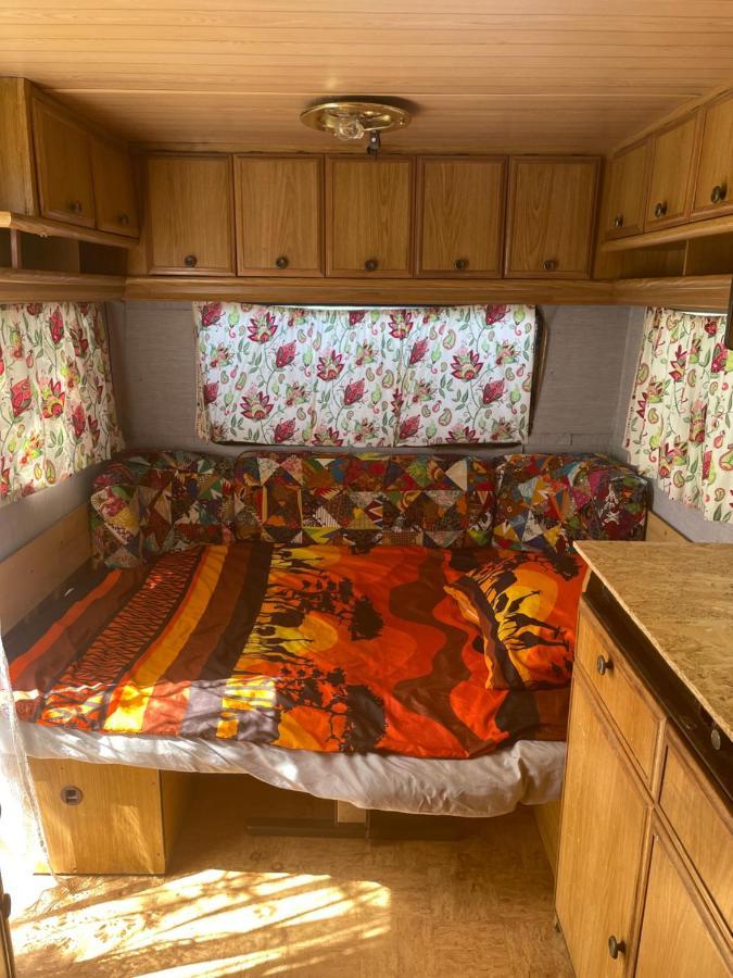 Camping Rogowo Mrzeżyno Kültér fotó