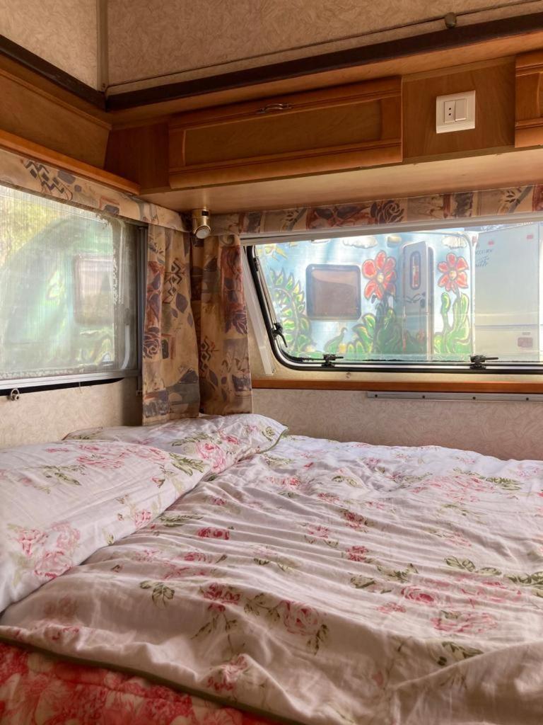 Camping Rogowo Mrzeżyno Szoba fotó